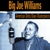 American Delta Blues Masterpieces