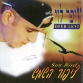 במזרח שלנו artwork