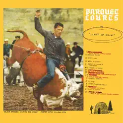 Light Up Gold+Tally All the Things That You Broke - Parquet Courts