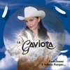 La Gaviota - Por Que Fue Que Te Ame Ame