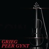 Peer Gynt Grieg - Single