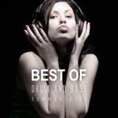 Best of Drum and Bass Summer 2013 artwork