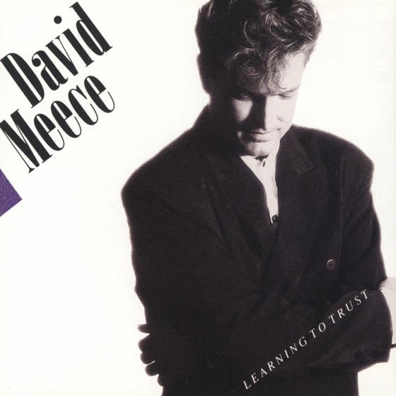 Cover artwork for Learning to Trust