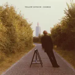 Cosmos by Yellow Ostrich album reviews, ratings, credits