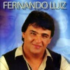 Fernando Luiz, 2015