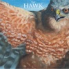 The Hawk - EP, 2014