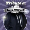 Tributo a Luis Miguel album lyrics, reviews, download