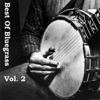 Best of Bluegrass, Vol. 2