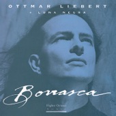 Ottmar Liebert - Thru The Trees/Cloudless Sky