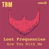 Cover Lost Frequencies - Are you with me