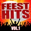 Feest Hits, Vol. 1