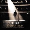 Simply Red - The Right Thing (Live)