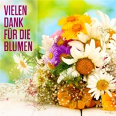 Vielen Dank Für Die Blumen artwork