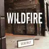Wildfire - Single album lyrics, reviews, download