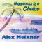 Sally (feat. Hector Saldana) - Alex Meixner lyrics