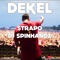 Dekel (feat. DJ Spinhandz) - Strapo lyrics