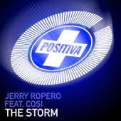 The Storm (Short Version) artwork