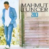 Mahmut Tuncer 2013, 2013