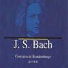 J.S. Bach Concertos de Brandemburgo No. 4 - 6