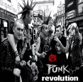 Punk Revolution