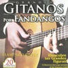 Grandes Gitanos por Fandangos