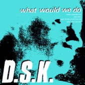 What Would We Do (Hurley's Extended Remix) artwork