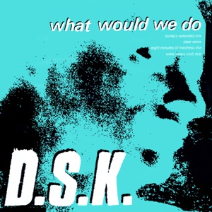 What Would We Do (Junior Boy’s Own Mixes) - EP