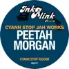 Stream & download Cyann Stop Jah Works (Cyann Stop Riddim) - Single