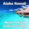 Aloha Hawaii - Michael Ferenci lyrics