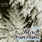 Black Sunshine (Instrumental Radio Remix) - Jdstreams lyrics