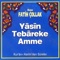 Amene'r-Resulü (Bakara 285 - 286) - Fatih Çollak lyrics