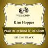 Peace In the Midst of the Storm (Studio Track) - EP album lyrics, reviews, download