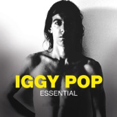 Essential: Iggy Pop artwork