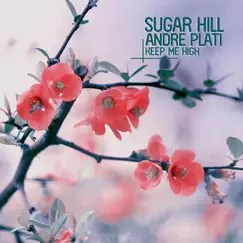 Keep Me High - EP by Sugar Hill & Andre Plati album reviews, ratings, credits