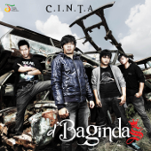 C.I.N.T.A - D'Bagindas