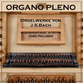 Passacaglia (BWV 582, Silbermann-Orgel zu Rötha) artwork