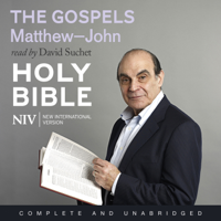 New International Version - NIV Bible 7: The Gospels artwork