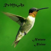 RxMxAx - Nature noise IV