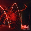 Luay Rifai - Vital: II Circulation