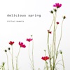 Delicious Spring - Chillout Moments