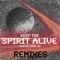 Keep the Spirit Alive (Thatdj Remix) - Lisa Williams & AS1 lyrics