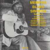 Memphis Country Blues Singers, Vol. 2 - Artisti Vari