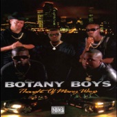 Botany Is Tha Block (feat. DJ Screw) artwork