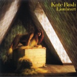 Kate Bush - Symphony In Blue