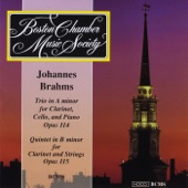 Brahms: Trio in A Minor for Clarinet, Cello and Piano , Op.114 / Quintet in B minor for Clarinet and Strings, Op.115 artwork