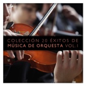 Colección 20 Éxitos de Música de Orquesta, Vol. 1 artwork