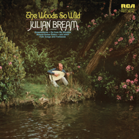 Julian Bream - The Woods So Wild artwork