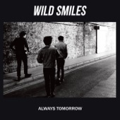 Wild Smiles - Never Wanted This