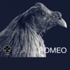 Gallo Romeo (Junior Miguez & La Flaka Present LA 41010) - Single