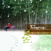 The Starlight Forest (feat. Sam Lee, Lee Bum Suck & Cho Jae Bum) artwork